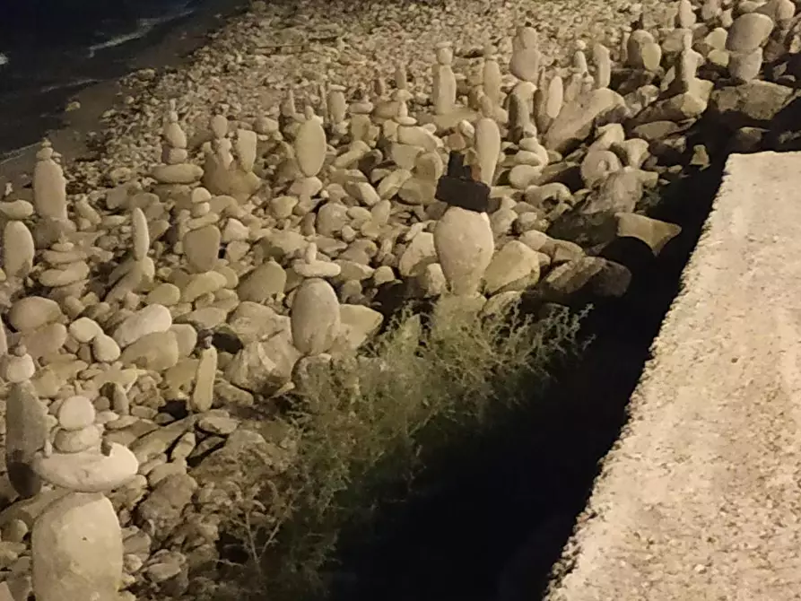 Immagine 5 di Camera in affitto  in Avenida Óscar Esplá a Alicante/Alacant