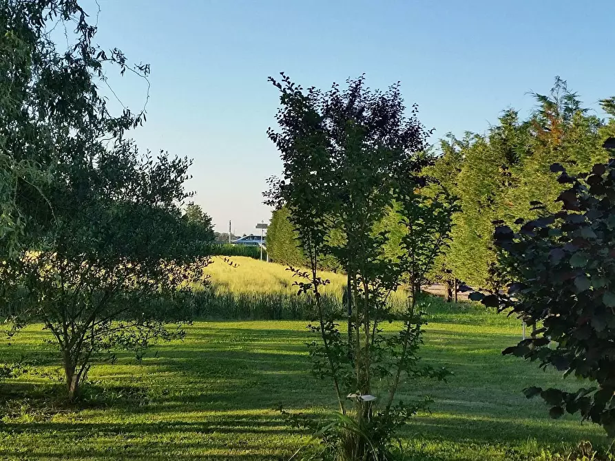 Immagine 5 di Appartamento in affitto  in Via Arginone a Ferrara