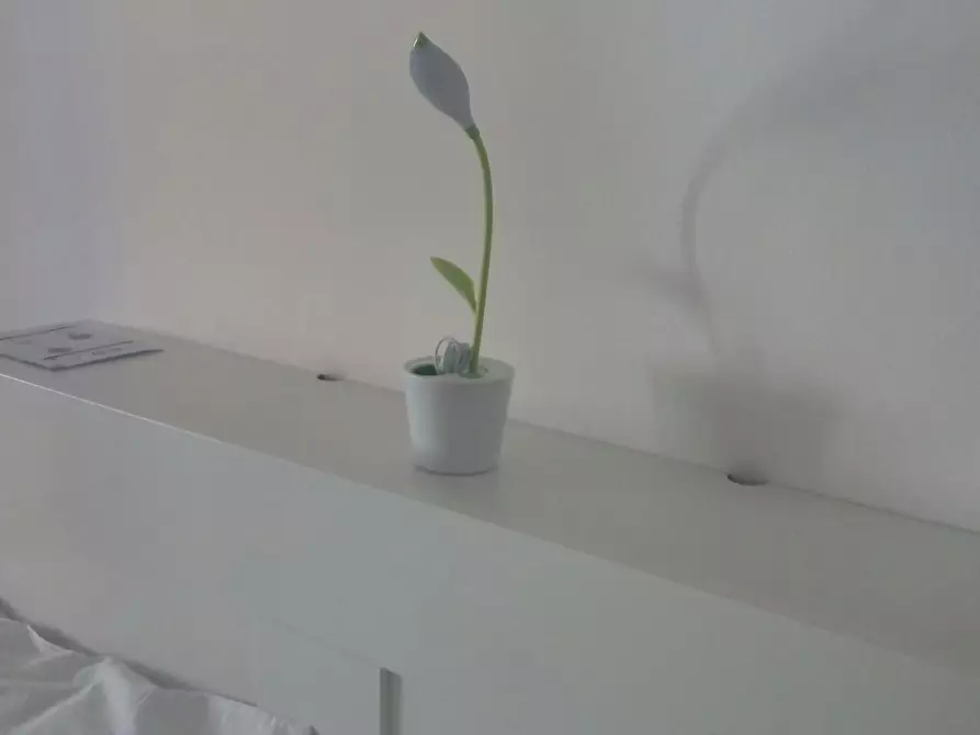 Immagine 10 di Camera in affitto  in Lungo Dora Agrigento a Torino