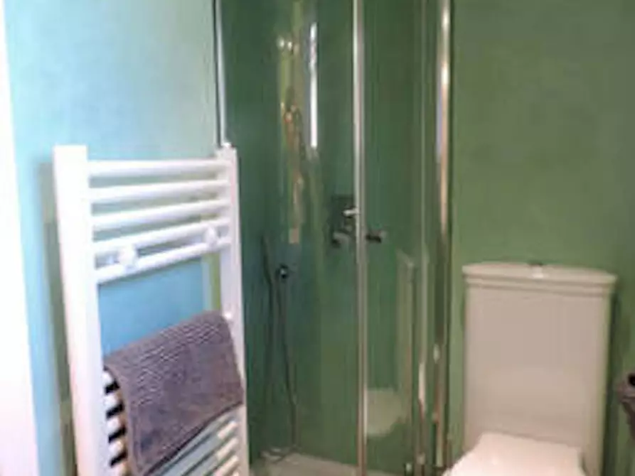 Immagine 4 di Appartamento in affitto  in Borgo San Frediano a Firenze