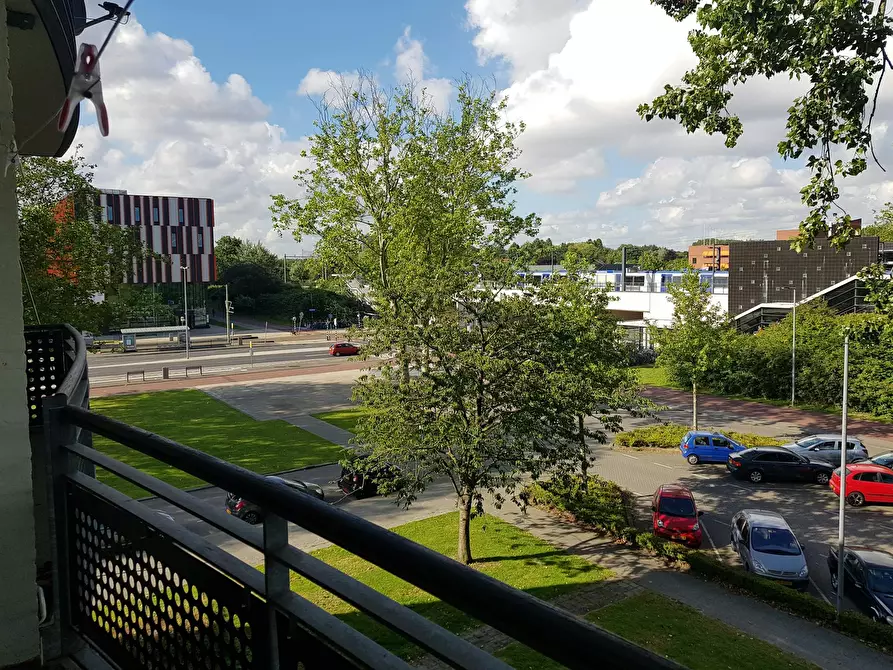 Immagine 4 di Camera in affitto  in Loderstraat a Rotterdam