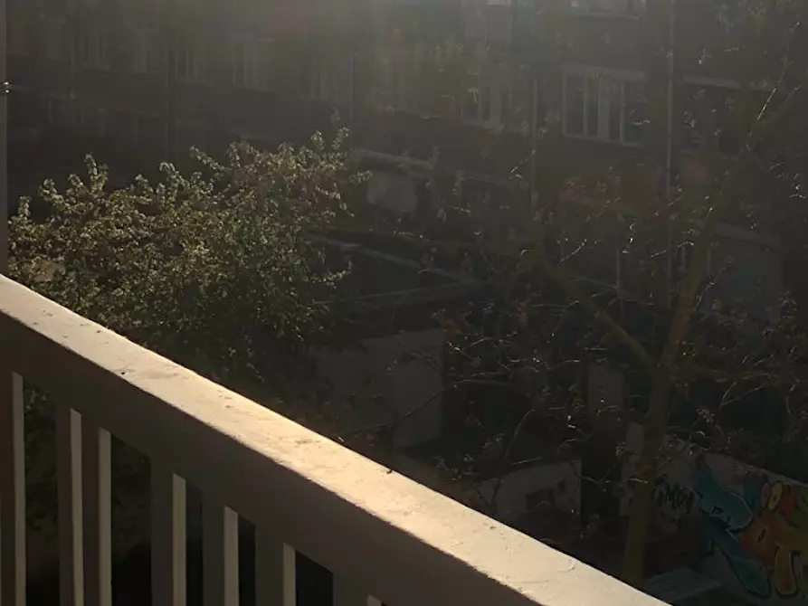 Immagine 3 di Camera in affitto  in Mathenesserweg a Rotterdam