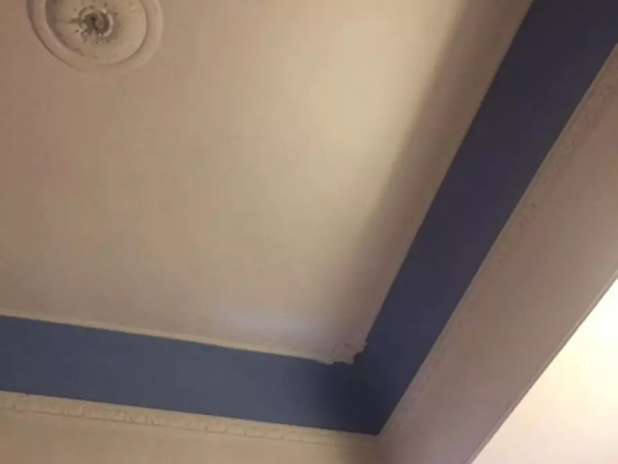 Immagine 5 di Camera in affitto  in Via Cimabue a Firenze