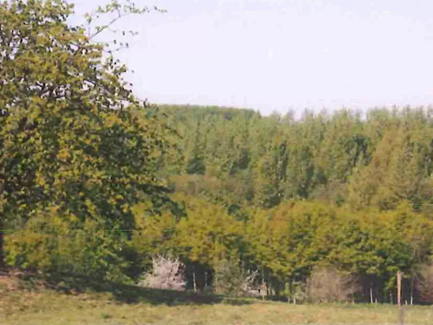 Immagine 9 di Camera in affitto  in Vlezenbeeklaan a Sint-Pieters-Leeuw