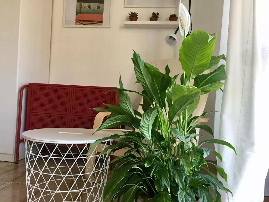 Immagine 8 di Camera in affitto  in Via Carlo Valvassori Peroni a Milano