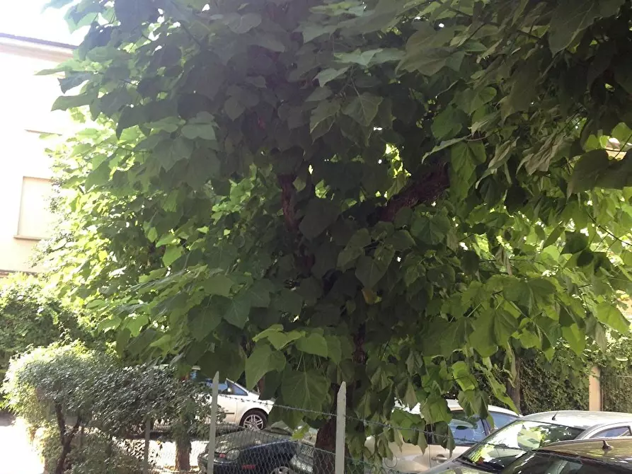 Immagine 9 di Camera in affitto  in Via Graziolo Bambaglioli a Bologna