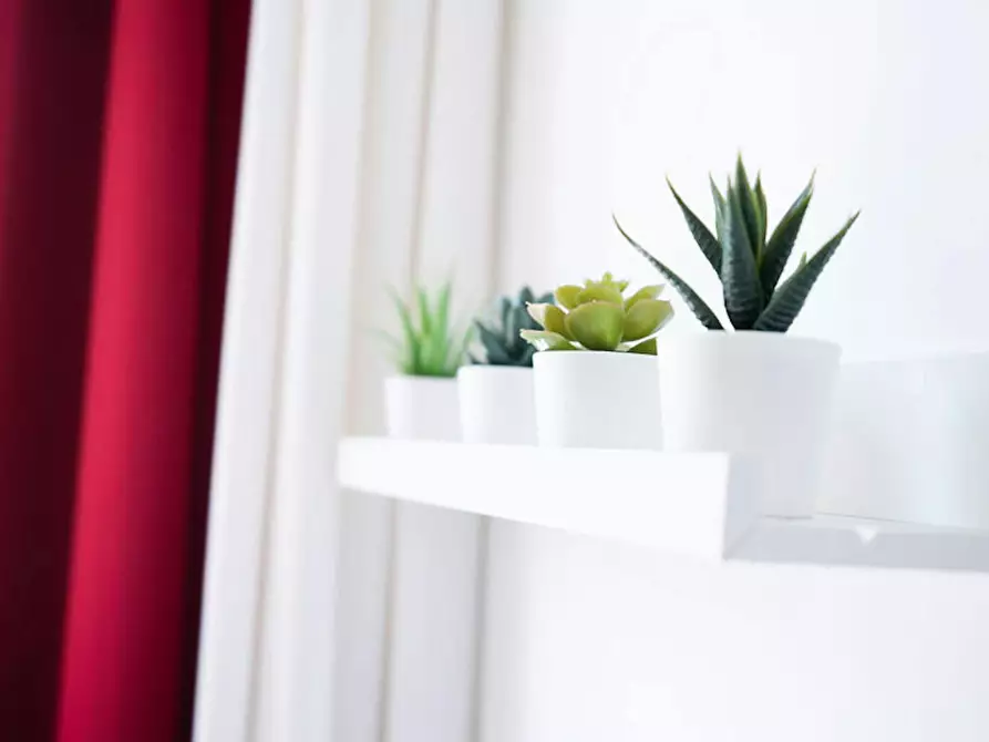 Immagine 8 di Camera in affitto  in Viale Papiniano a Milano