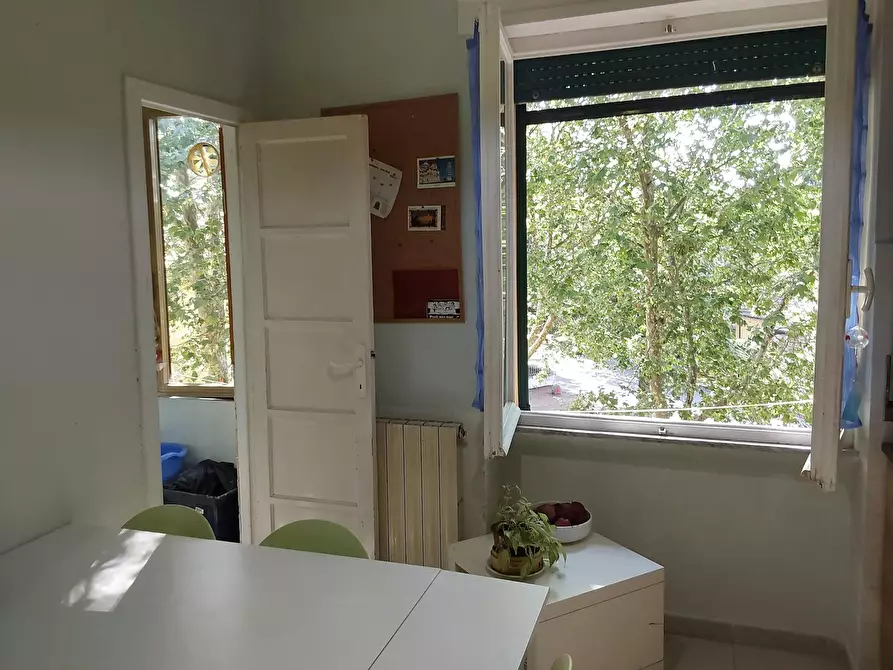 Immagine 9 di Camera in affitto  in Via Spartaco Carlini a Pisa