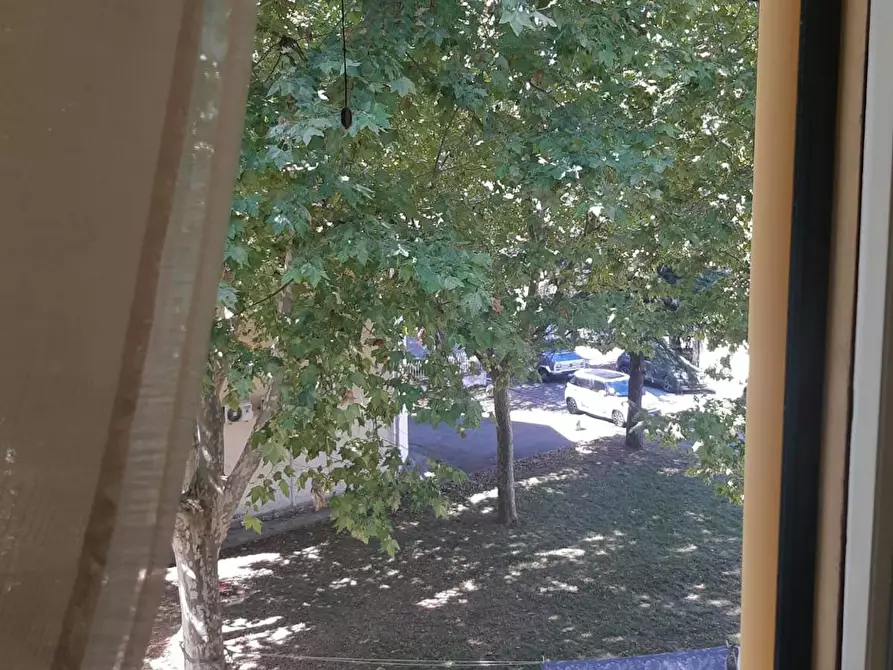 Immagine 5 di Camera in affitto  in Via Spartaco Carlini a Pisa