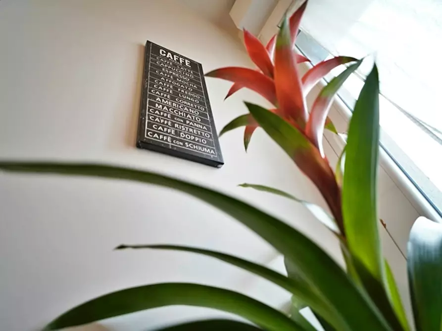 Immagine 3 di Appartamento in affitto  in Via Giuseppe Candiani a Milano