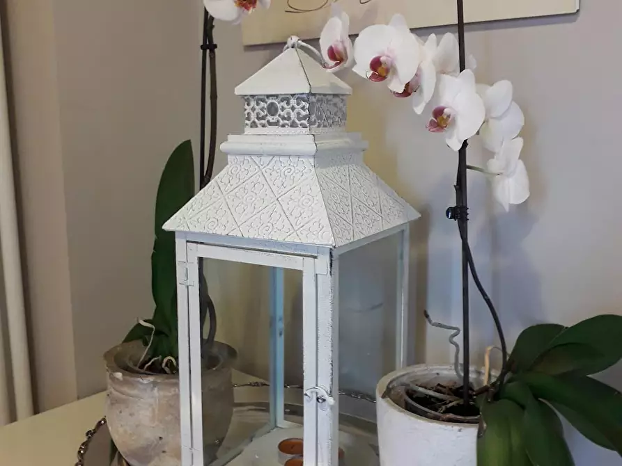 Immagine 7 di Appartamento in affitto  in Corso Sempione a Milano