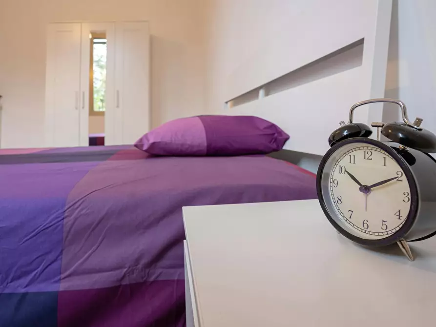 Immagine 10 di Camera in affitto  in Via Pompeo Vizzani a Bologna