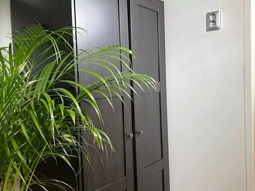 Immagine 9 di Casa indipendente in affitto  in Prins Mauritsstraat a Delft