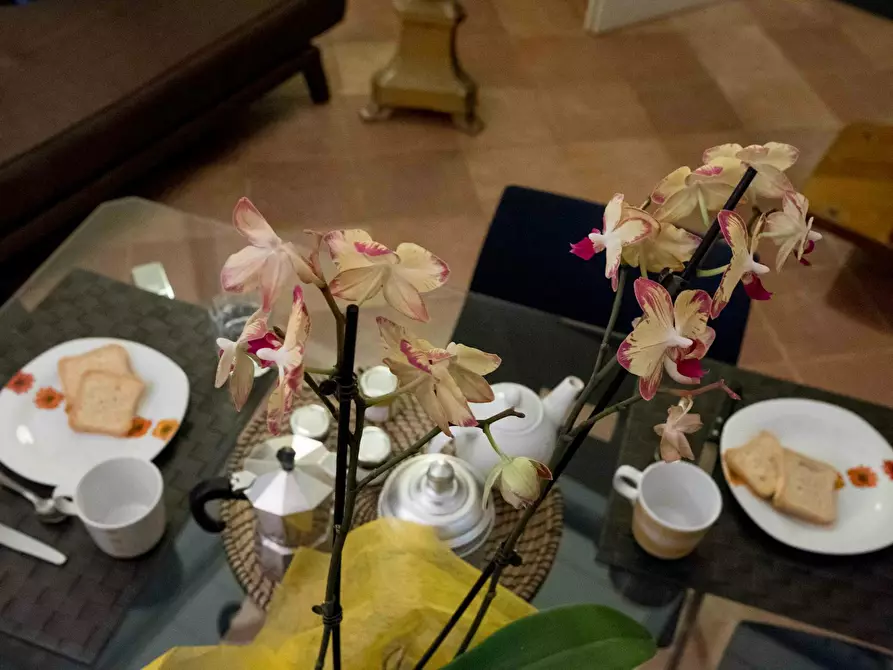 Immagine 7 di Appartamento in affitto  in Via Ghibellina a Firenze