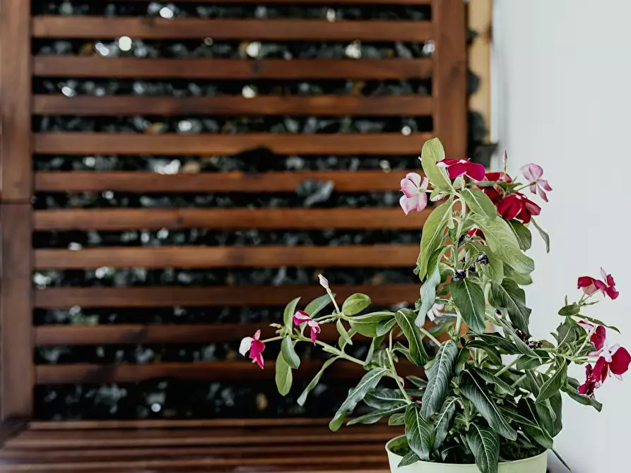 Immagine 8 di Camera in affitto  in Via Urbano Rattazzi a Firenze