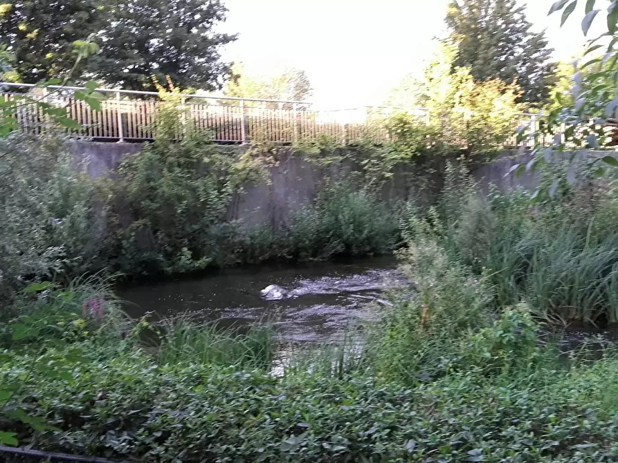 Immagine 6 di Appartamento in affitto  in Rümannstraße a München