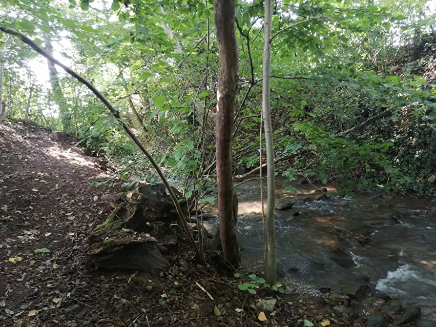 Immagine 8 di Camera in affitto  in Via del Mazzucco a Mondovì