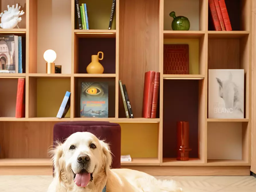 Immagine 4 di Appartamento in affitto  in Rue de la Belle Étoile a Roissy-en-France