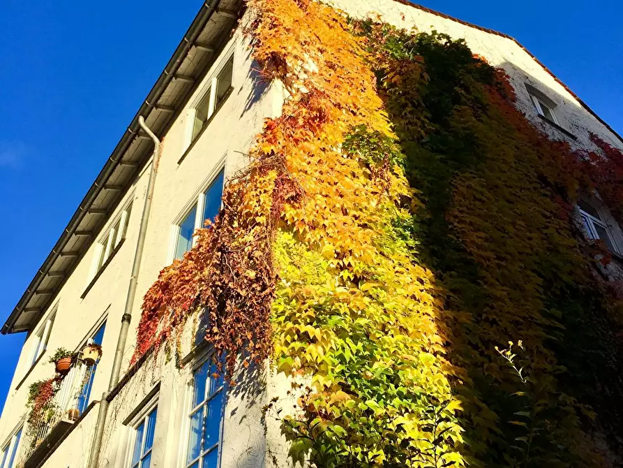 Immagine 5 di Camera in affitto  in Philosophenweg a Kassel