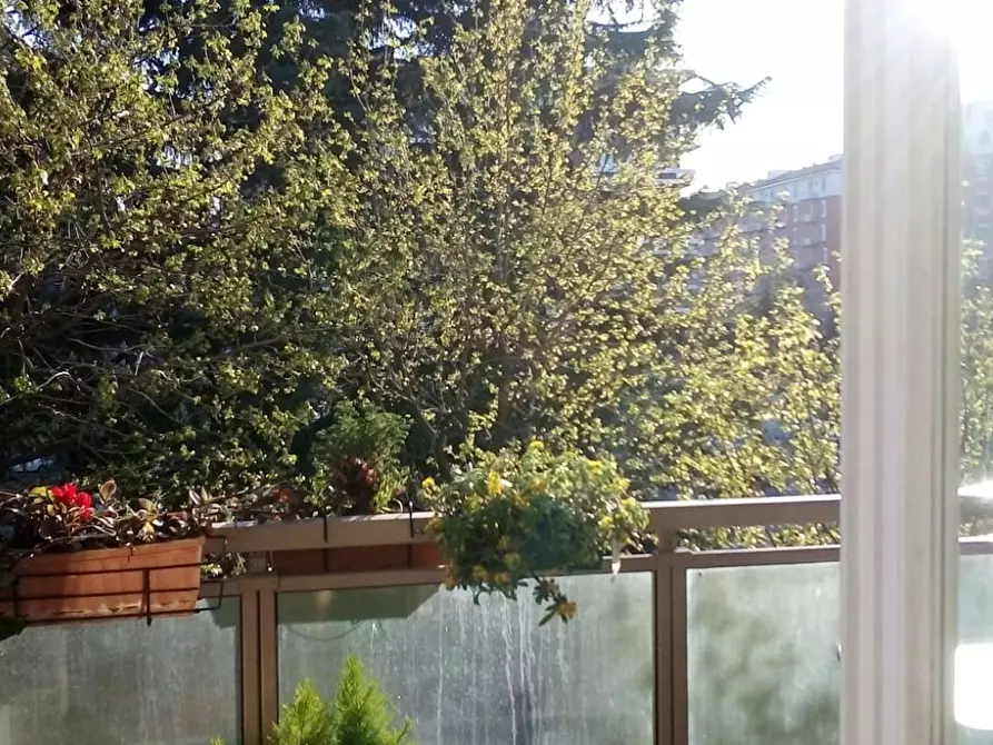 Immagine 7 di Appartamento in affitto  in Via degli Anemoni a Milano