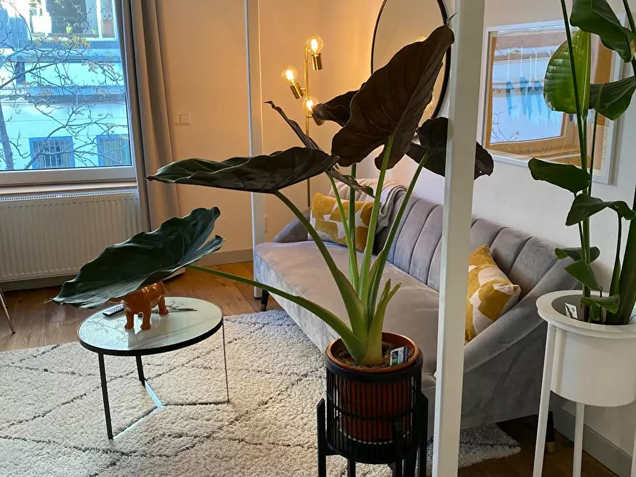 Immagine 9 di Appartamento in affitto  in Witte de withstraat a Rotterdam