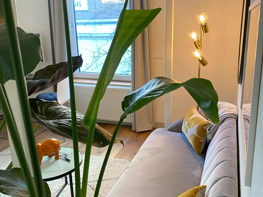 Immagine 8 di Appartamento in affitto  in Witte de withstraat a Rotterdam