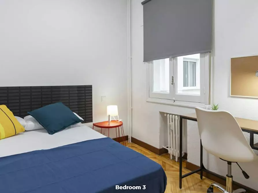 Immagine 1 di Camera in affitto  in Calle Doctor Castelo a Madrid