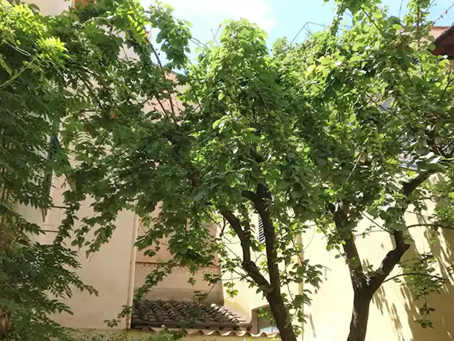 Immagine 3 di Appartamento in affitto  in Via dell'Orto a Firenze