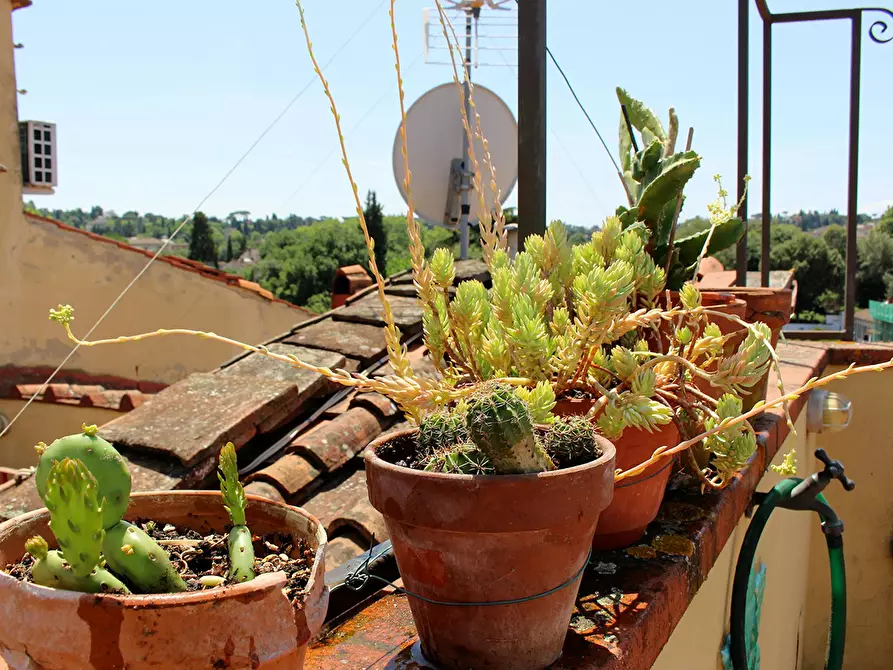 Immagine 4 di Appartamento in affitto  in Via Santa Maria a Firenze