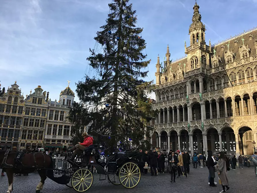 Immagine 3 di Camera in affitto  in Lombardstraat a Bruxelles