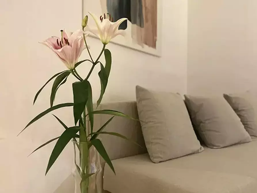 Immagine 6 di Appartamento in affitto  in Suitbertusstraße a Düsseldorf