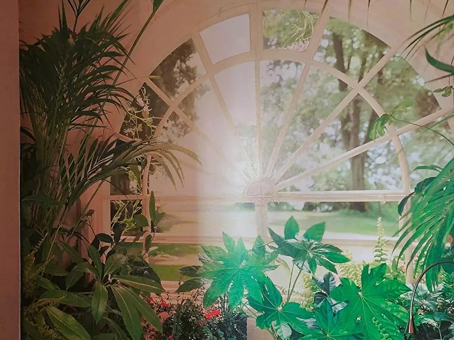 Immagine 9 di Appartamento in affitto  in Via Giovanni De Alessandri a Milano