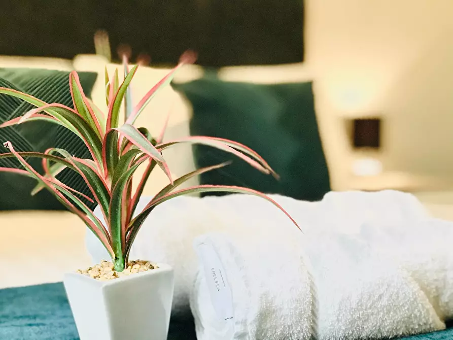 Immagine 6 di Casa indipendente in affitto  in Shelton New Road a 