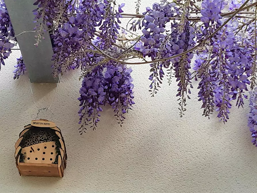 Immagine 9 di Camera in affitto  in Rue du Luc a Pessac