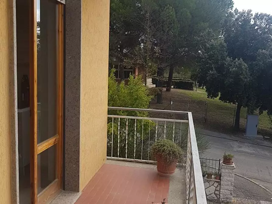 Immagine 7 di Appartamento in affitto  in Via Palmiro Togliatti a Montalcino