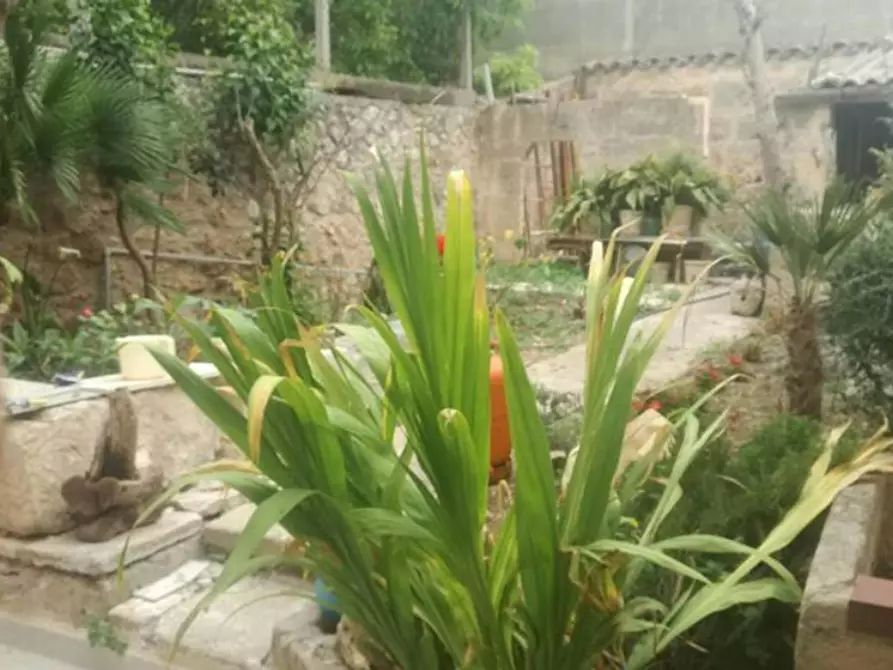 Immagine 2 di Camera in affitto  in Carrer Amargura a Algaida