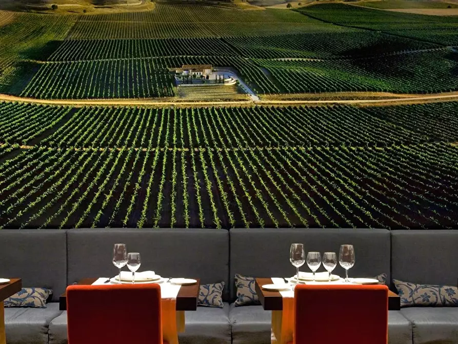 Immagine 8 di Camera in affitto  in Paseo de Zorrilla a Valladolid