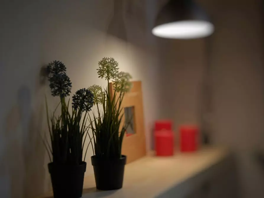 Immagine 7 di Appartamento in affitto  in Via Accademia a Milano