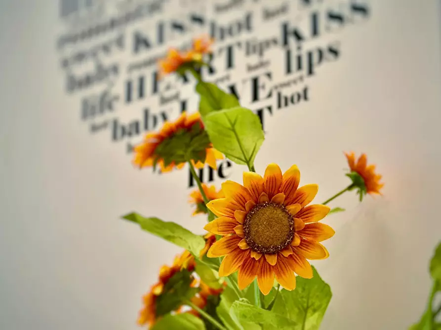 Immagine 3 di Appartamento in affitto  in Via Luigi Einaudi a Cologno Monzese