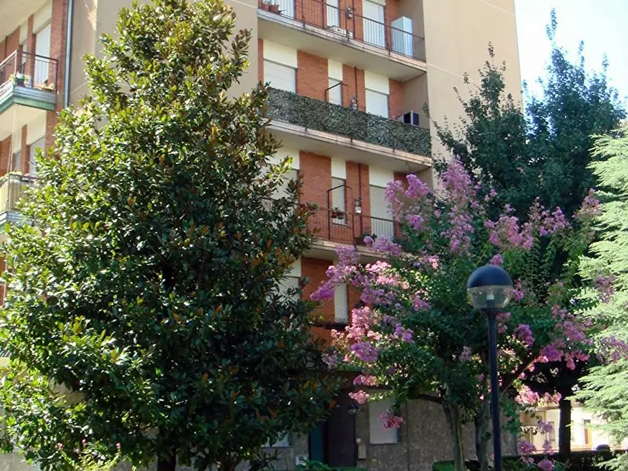 Immagine 5 di Camera in affitto  in Via Monte Sabotino a Paderno Dugnano