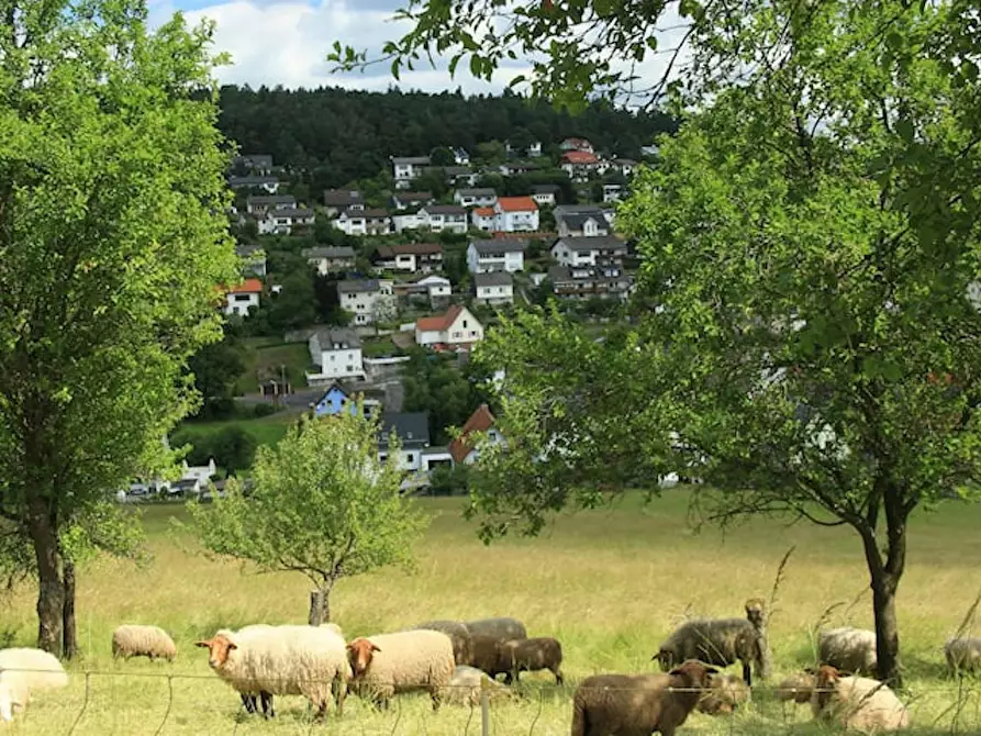 Immagine 6 di Casa indipendente in affitto  in Steinheckstraße a Herborn