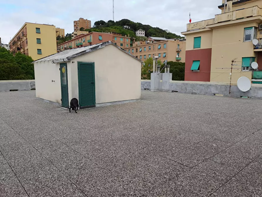 Immagine 3 di Appartamento in affitto  in Via Bologna a Genova