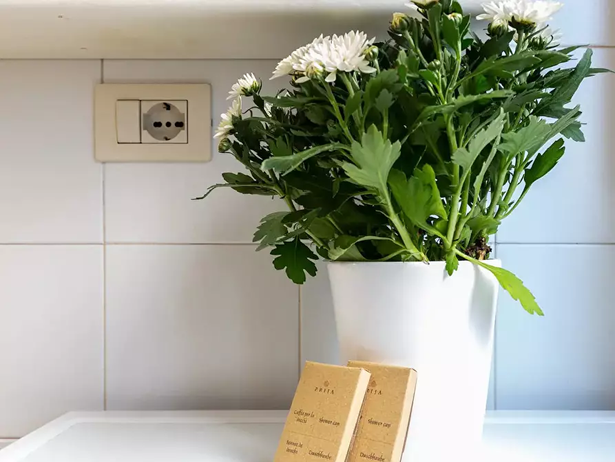 Immagine 5 di Appartamento in affitto  in Via Caterina Fieschi a Roma