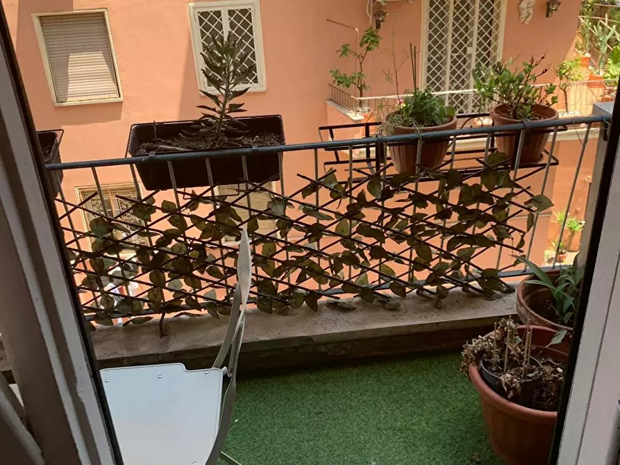 Immagine 3 di Camera in affitto  in Via Livorno a Roma