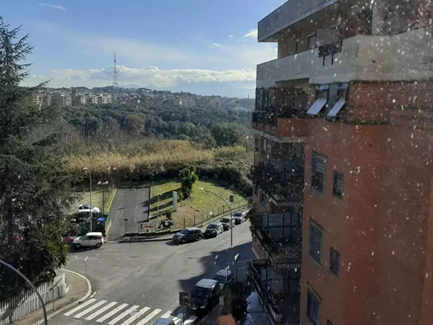 Immagine 4 di Camera in affitto  in Via Luigi Arbib Pascucci a Roma