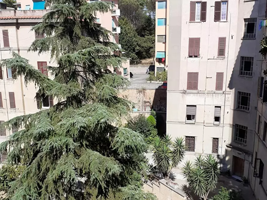 Immagine 6 di Camera in affitto  in Viale Guglielmo Massaia a Roma