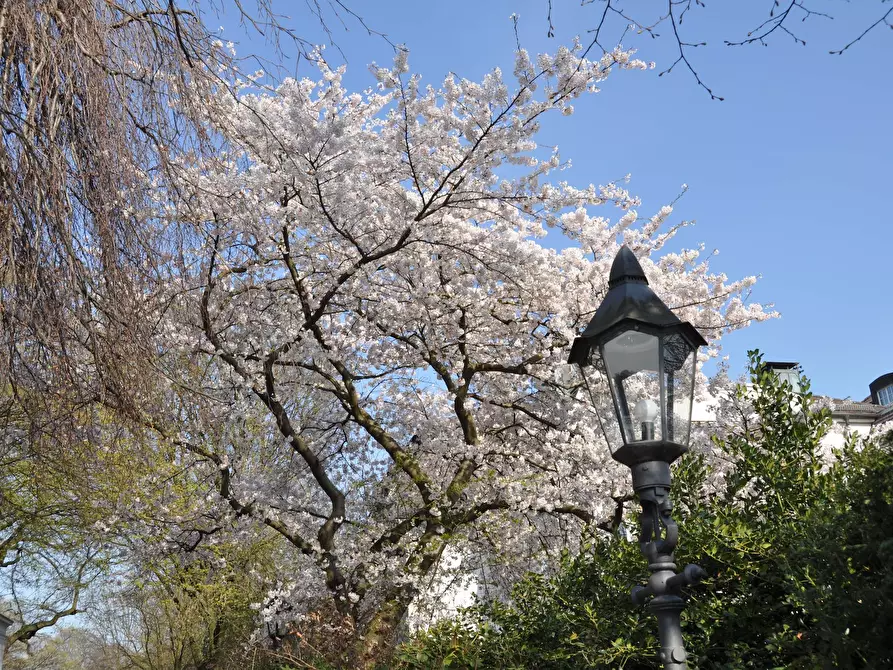 Immagine 9 di Appartamento in affitto  in Karlstraße a Hamburg Barmbek-Süd