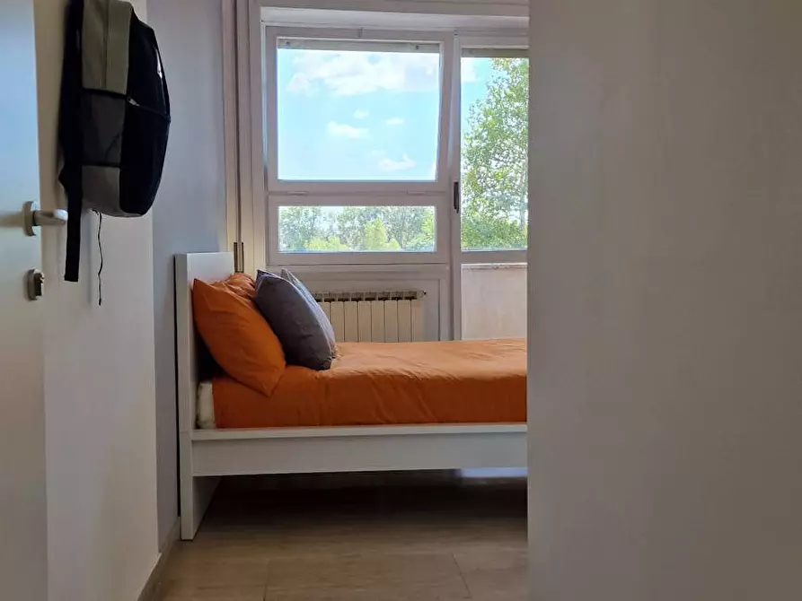 Immagine 2 di Camera in affitto  in Lungotevere di Pietra Papa a Roma