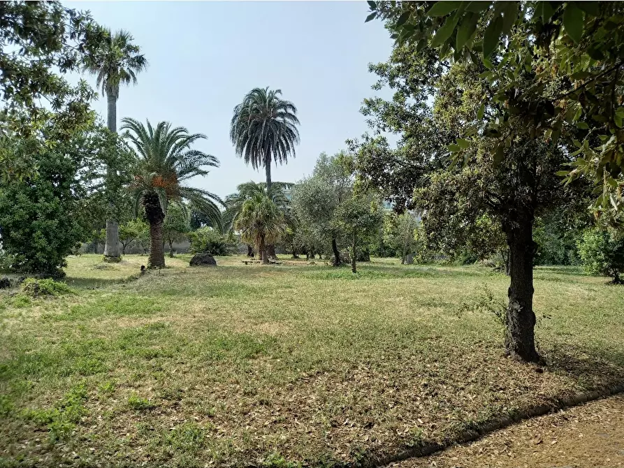 Immagine 10 di Appartamento in affitto  in Corso Giuseppe Garibaldi a Portici