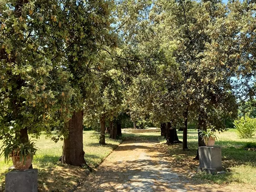 Immagine 9 di Appartamento in affitto  in Corso Giuseppe Garibaldi a Portici